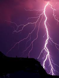 罗赵赵孤是什么意思