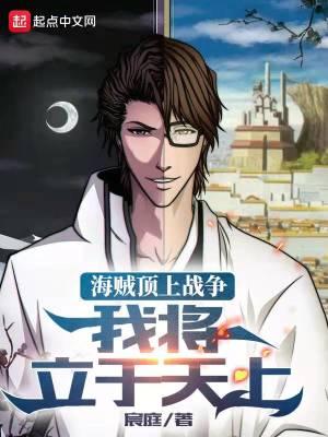 海贼顶上战争之后集合是第几集