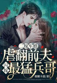 二嫁军婚长官请节制免费阅读