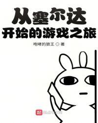 从塞尔达开始的游戏之旅在线观看