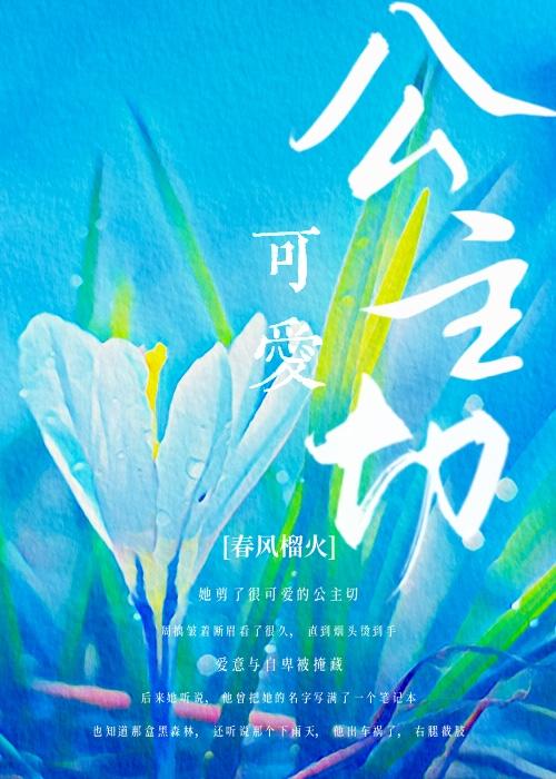 公主切是哪个国家的发型