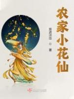 带宝穿越轩辕御